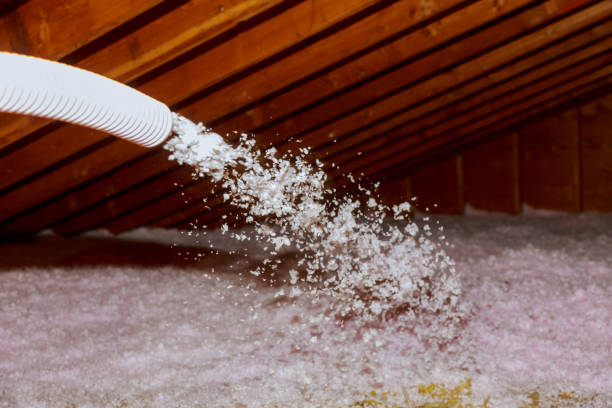 Best Professional Insulation Contractor  in Martindale, TX