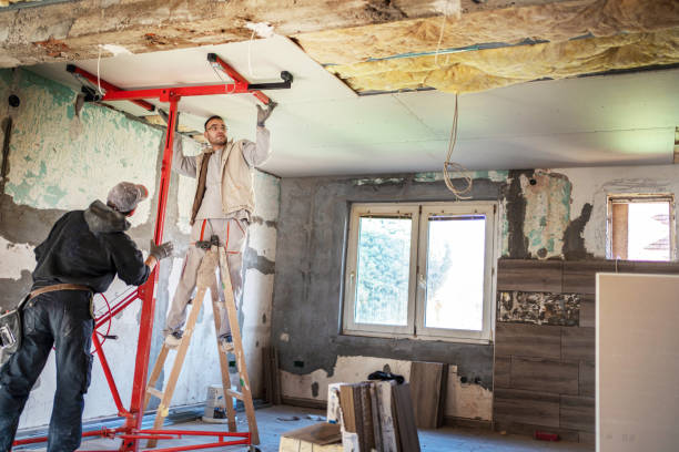 Best Insulation Contractors for Homes  in Martindale, TX