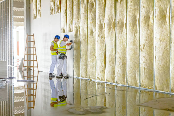 Trusted Martindale, TX Insulation Contractor Experts